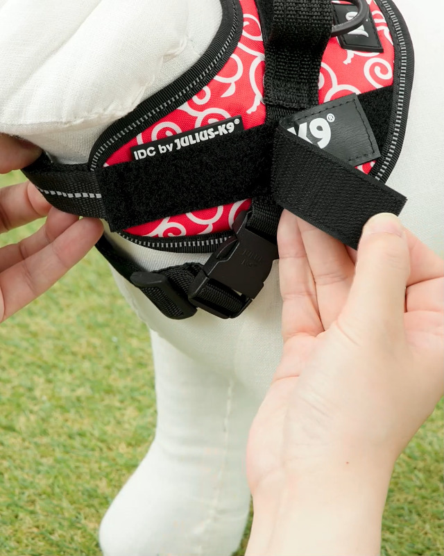 Amazon | IDCパワーハーネス, サイズ: XS/ミニミニ, 唐草レッド